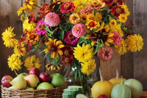 Floricultura nacional luta para que flores e plantas sejam reconhecidas como produtos hortícolas