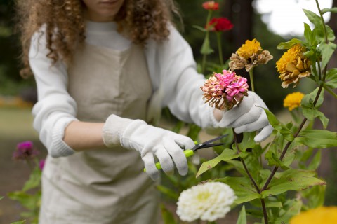 Produtos agrícolas feitos com flores e frutas? Marca nacional comprova que é possível