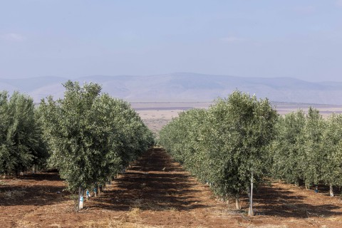 Multinacional inicia no Brasil implementação de programa de capacitação de agricultores para o Mercado de carbono