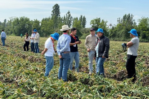 Produtores brasileiros de hortaliças conhecem cultivos argentino e chileno em tour promovido por empresa de sementes