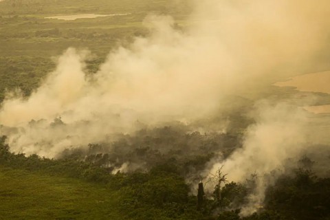 Com incêndios, Mato Grosso do Sul decreta situação de emergência