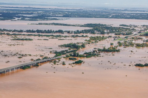 Estudo revela que a agricultura do Rio Grande do Sul já soma prejuízo acima de R$ 423 milhões